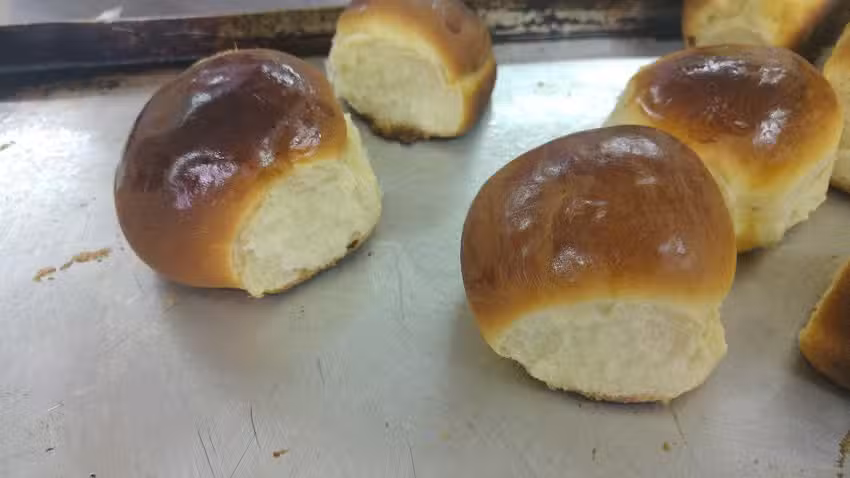 E.d.E.I Sin Fronteras