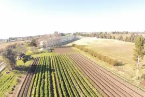 E.E.S.A. N&ordm; 1 Dr. Bernardo de Irigoyen