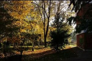 E.E.S N&deg; 1 &ldquo;Ra&uacute;l Scalabrini Ort&iacute;z&rdquo;