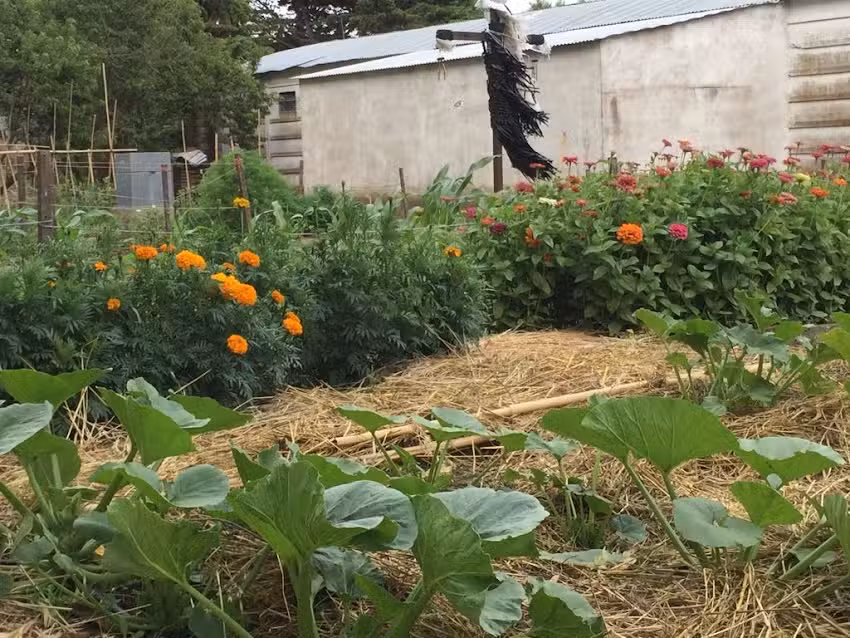 E.E.S. N&deg; 6 EL RELINCHO