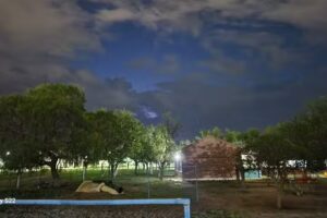 E.N.I. N&deg; 5 Mar&iacute;a Edelmira Alric de Castillo