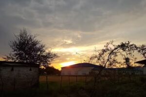 E.P.E.S Nro 43 &ldquo;Prof. Hugo Del Rosso&rdquo;