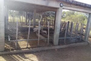 E.T.A: Escuela T&eacute;cnico Agropecuaria N&deg;1