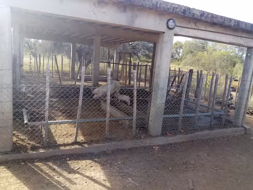 E.T.A: Escuela T&eacute;cnico Agropecuaria N&deg;1