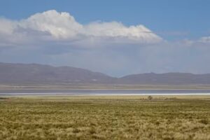 &Eacute;cole Rurale De Lagunillas