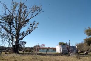 EEP N° 106 “EL PUCA”