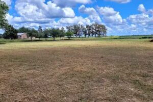 EES N&ordm; 141 &rdquo; Maestro Ren&eacute; Orlando Acevedo&rdquo;