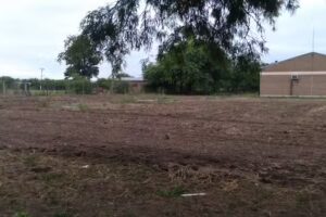 EESn &bull; 106 Ram&oacute;n De la Rosa Arg&uacute;ello