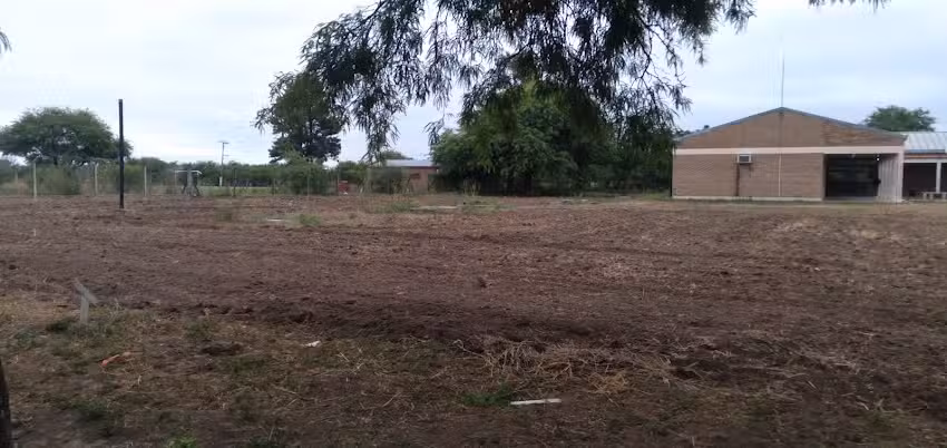 EESn &bull; 106 Ram&oacute;n De la Rosa Arg&uacute;ello