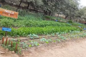 EET N&deg;3170 San Martin De Porres