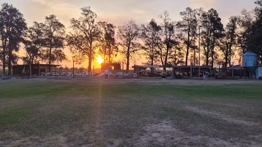 EFA Patricia In&eacute;s Mira &ndash; Colonia Alpina