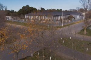 EGB 6 &ldquo;Don Jos&eacute; de San Mart&iacute;n&rdquo;