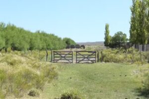 EL CORTADERAL, ESC 8-384