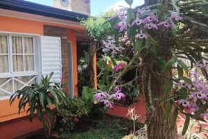 El country Malvinas argentinas