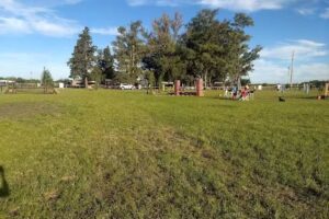 El Relincho Pony Club