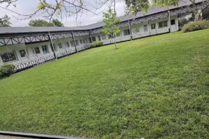 El SEMBRADOR Escuela Taller