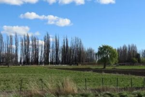 Esc. Agrot&eacute;cnica Sarmiento