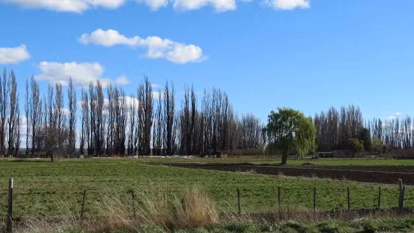 Esc. Agrot&eacute;cnica Sarmiento