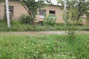 Esc. N 213 Provincia De Salta