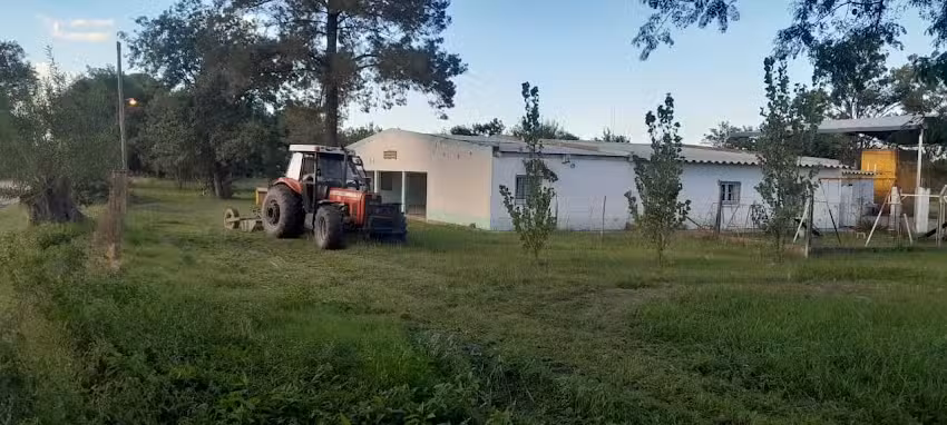 Esc. N&deg; 308 Dr. Ernesto Mu&ntilde;oz Moraleda