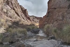 Esc. Primaria N&deg; 146 Maestro Argentino