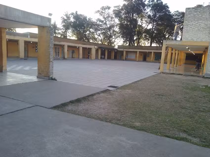 Escuela 1234, 2563 Y 6331Primaria, P Nocturna, Empa
