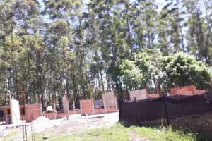 Escuela 124 Matta miguel