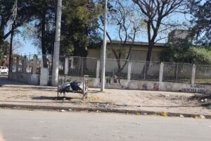 Escuela 188 Bazan Y Bustos