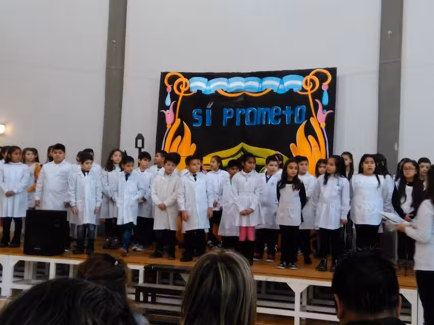 Escuela 206