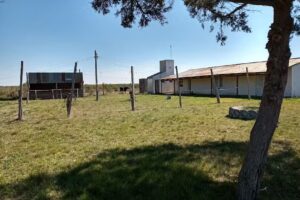 Escuela 25 Caseros &ndash; Crucecitas Tercera