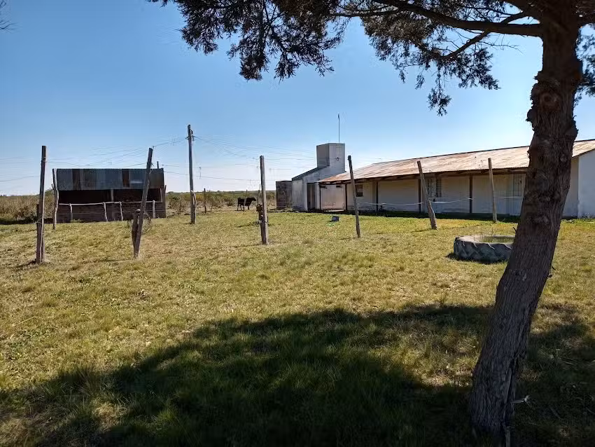 Escuela 25 Caseros &ndash; Crucecitas Tercera