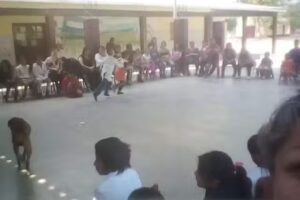 Escuela 265: Polic&iacute;a Federal Argentina