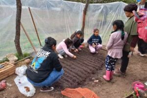 Escuela 298 El Pongo