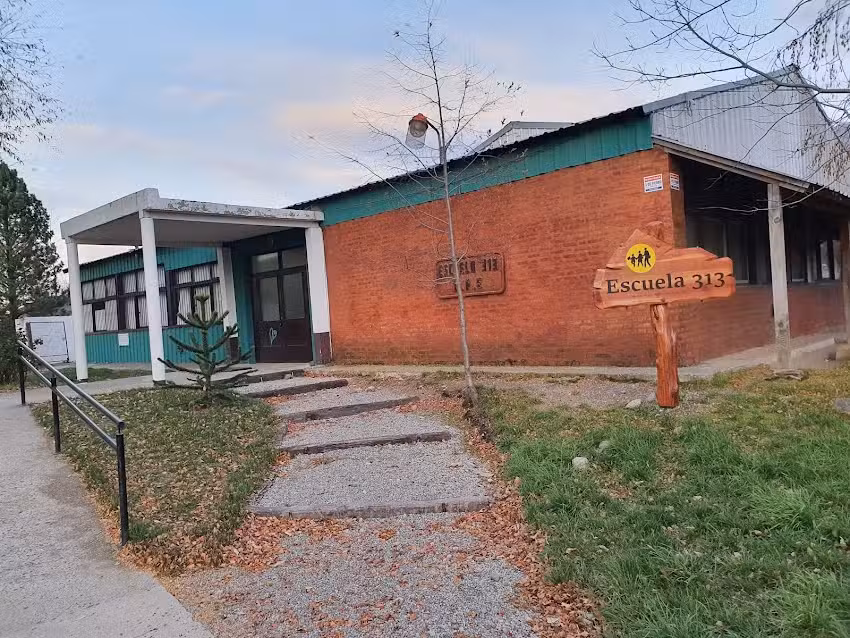 Escuela 313