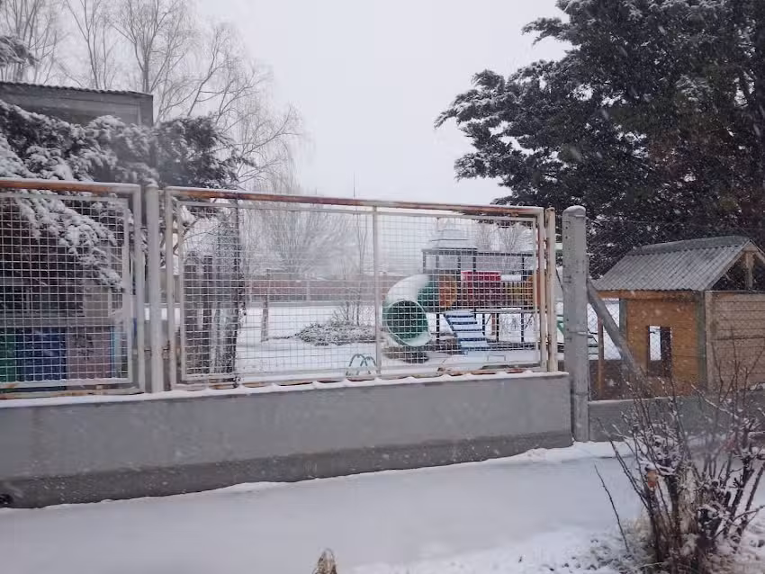 Escuela 369 Cinco Saltos