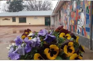 Escuela 4-195 El Molino