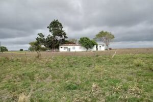 Escuela 41 Gregoria Perez