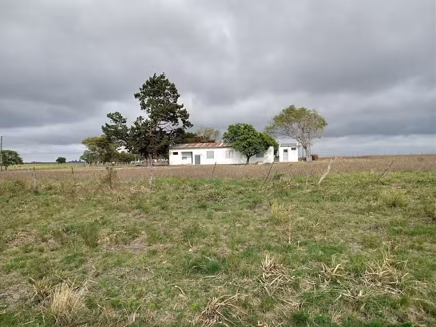 Escuela 41 Gregoria Perez