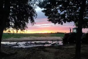 Escuela 4342 Mtro.Julio Ramon Pereyra