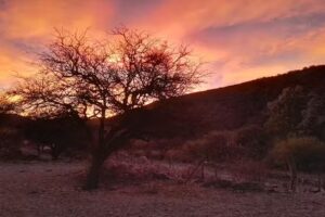 Escuela 4475 &ndash; San Lucas