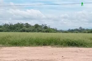 Escuela 4514 Mart&iacute;n Miguel de Guemes