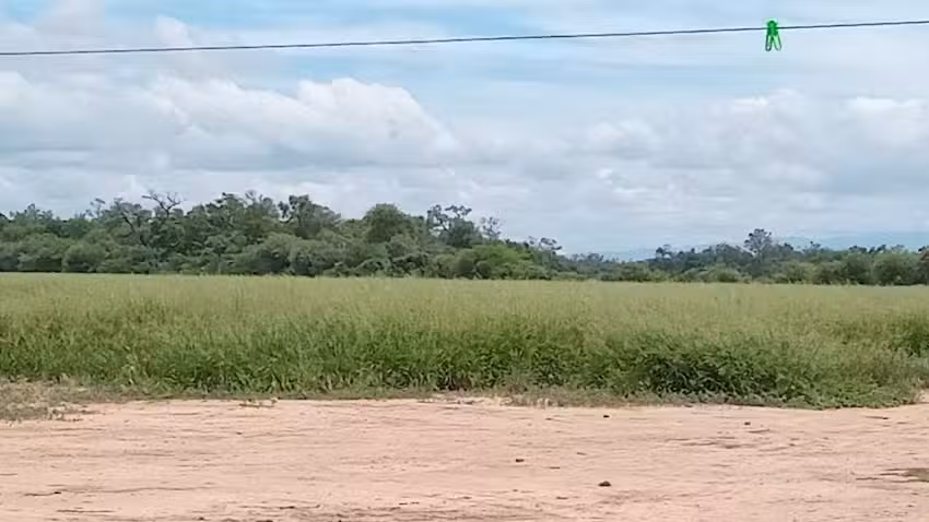 Escuela 4514 Mart&iacute;n Miguel de Guemes