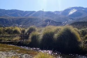 Escuela 452 Toro Yaco