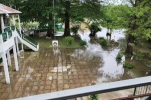 Escuela 5 Martin Miguel de G&uuml;emes