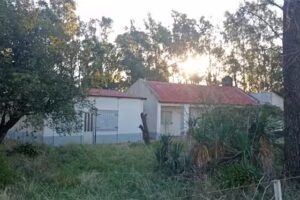 Escuela 51 Florentino Ameghino