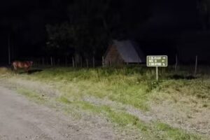 Escuela 62 Paso de los Andes