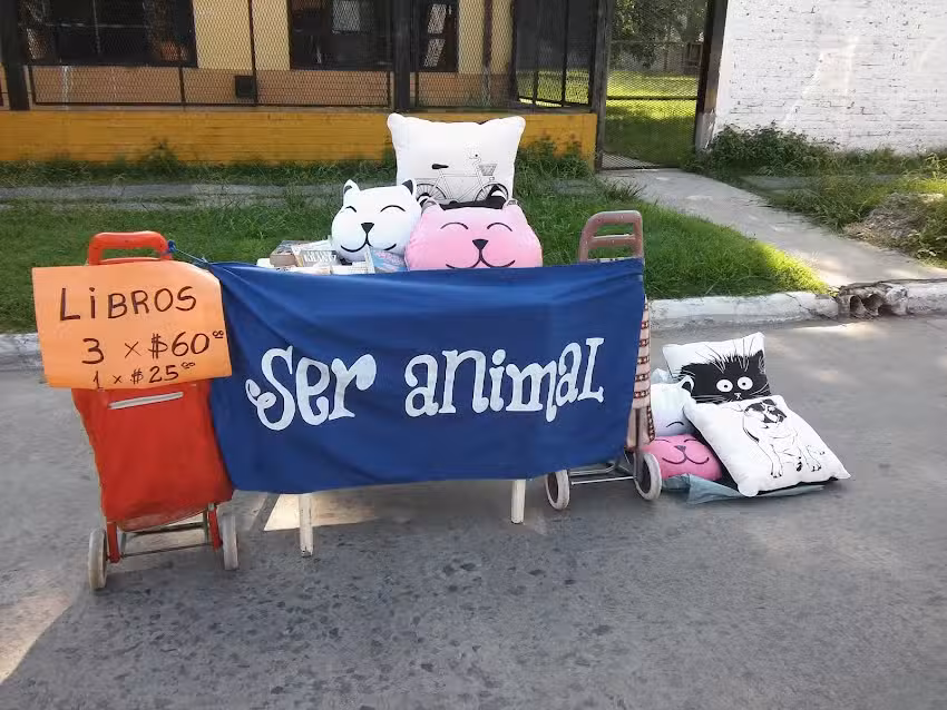 Escuela 69
