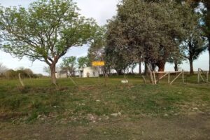 Escuela 74 Idelfonso Paso