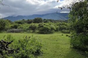 Escuela 9 De Julio ,El Portezuelo