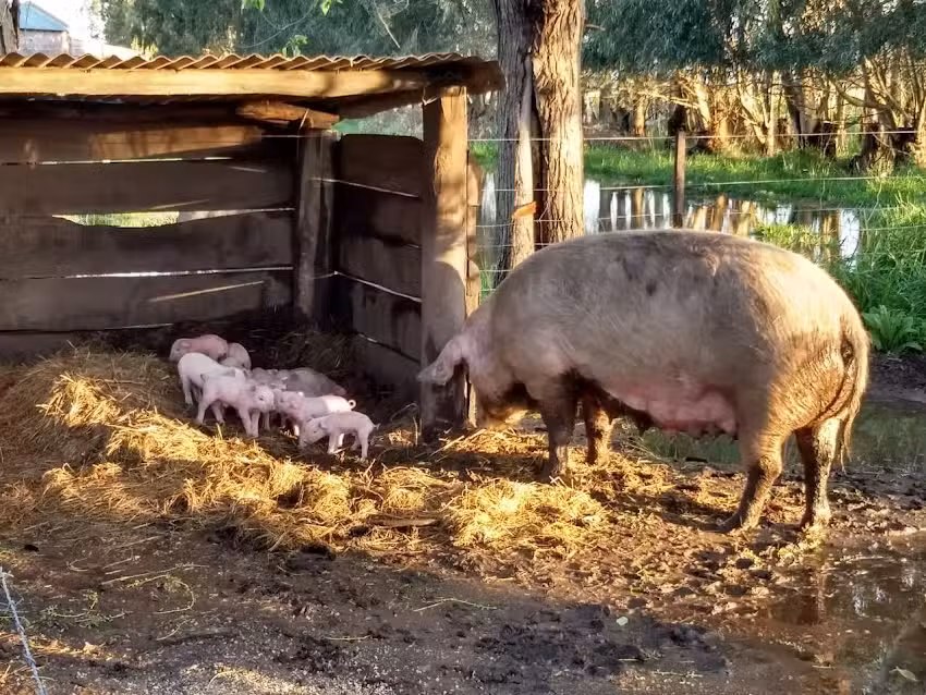 Escuela Agraria N&deg;1 &ndash; Las Flores